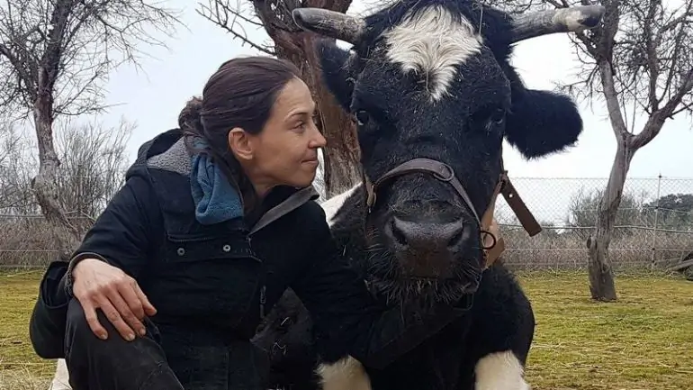 vaca carmen santuario vegan