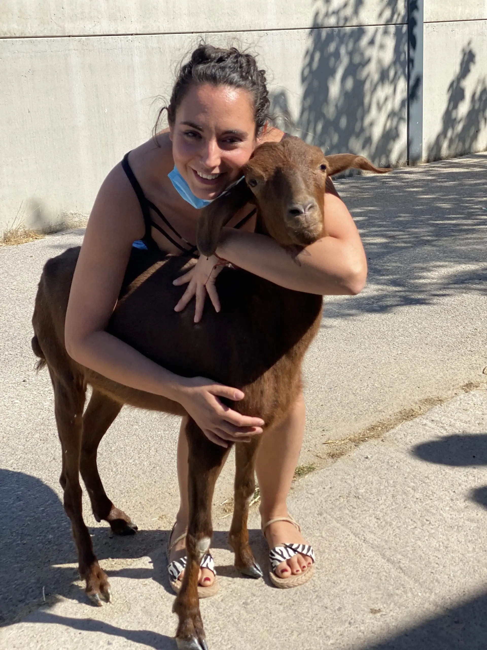 Bonita, una cabra que se recuperó de una parálisis en la facultad de veterinaria de la UEX es adoptada por santuario vegan
