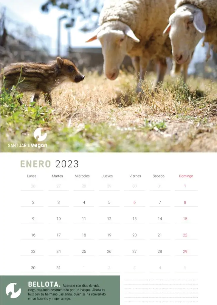 calendario solidario santuario vegan 2023 1