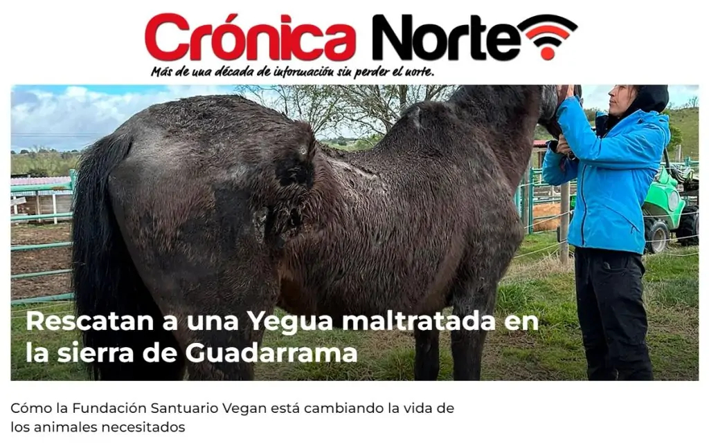 Cronica Norte rescate de una yegua por Fundacion Santuario Vegan